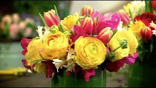 Cut Flowers 101  Arranging Cut Flowers with Carlos Franco [upl. by Ellwood480]