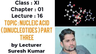 Nucleic acid dinucleotides HindiUrdu By Sir Suresh Kumar [upl. by Thacher254]