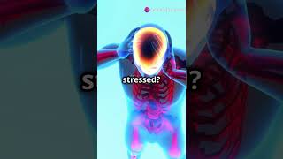 Neurotransmitters effect mood nervoussystem knowyourbody fitnessmotivation facts bodysystem [upl. by Bogie]