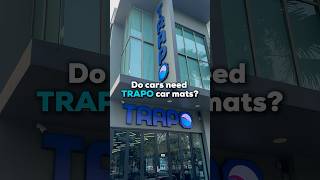 Do cars need TRAPO car mats [upl. by Ellenuahs]