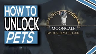 How To Unlock Pets Magical Beasts In Hogwarts Legacy Unlock Nab Sac [upl. by Coretta]