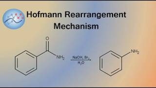 Hofmann Rearrangement Example Mechanism  Organic Chemistry [upl. by Yssep]