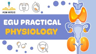 Physiology practical Urinary System [upl. by Daigle]