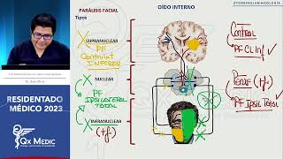 Otorrinolaringología  4 Parálisis Facial [upl. by Onimod]