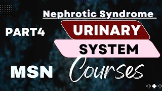 Nephrotic Syndrome  Urinary System  NORCET 8  UP CHO  BIHAR CHO  RRB  GUJARAT Staff Nurse [upl. by Goar]