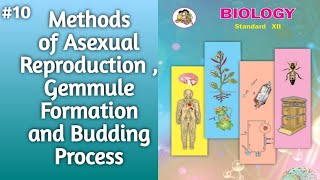 Methods of Asexual Reproduction l Gemmule Formation and Budding Process Explained l 12thclassbiology [upl. by Nathaniel]