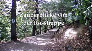 Zauberblicke von der Rosstrappe I Harz [upl. by Adniled124]