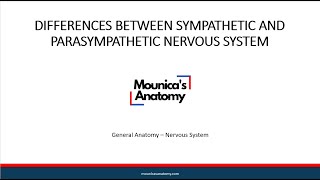 General Anatomy  Differences between Sympathetic and Parasympathetic Nervous System [upl. by Eizus]