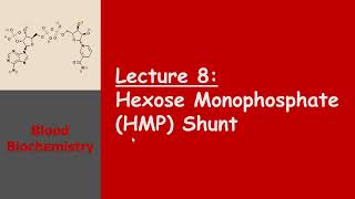 Blood Biochemistry  Hexose Monophosphate HMP Shunt [upl. by Nagem]