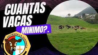 CUANTAS VACAS MINIMO NECESITAMOS PARA QUE UNA PEQUEÑA LECHERIA SEA EFICIENTE Y RENTABLE [upl. by Volnak]