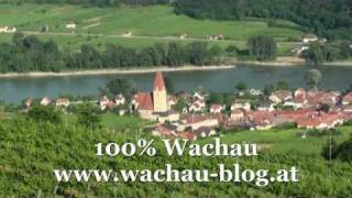 Urlaub in der Wachau Österreich  Weissenkirchen Wachau [upl. by Teemus]