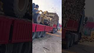 The grapple loader is efficient in unloading logs from trucks [upl. by Yasmine]