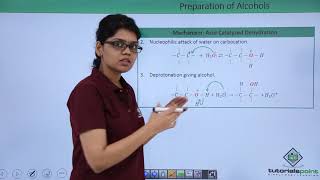 Class 12th – Methods of Preparation  Acid Catalyzed Hydration  Tutorials Point [upl. by Genisia]