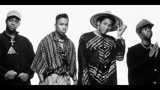 A Tribe Called Quest  Bonita Applebum NOLEM Remix [upl. by Ilagam]