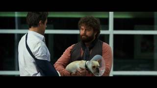 Due Date 2010 Official Trailer [upl. by Lanaj]