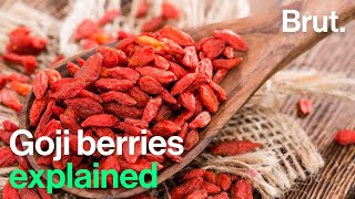 The positives and negatives of Goji berries [upl. by Airol]