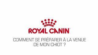 Comment se préparer à la venue de mon chiot [upl. by Findlay555]