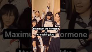 atarashi gakko x maximum the hormone maximumthehormone atarashiigakko shorts マキシマムザホルモン jmetal [upl. by Seroled]