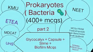 Prokaryotes  Bacteria 400 mcqs Part 2  Glycocalyx  Capsule Slime  Biofilm mcqs [upl. by Kirkpatrick]