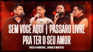 Fred e Fabrício  Jorge e Mateus  Sem Você Aqui  Pássaro Livre  Pra Ter o Seu Amor [upl. by Hege]