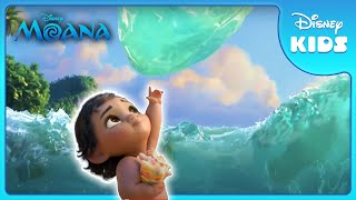 Baby Moana Explores the Ocean 🌊  Moana  Disney Kids [upl. by Ioved]