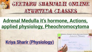 Adrenal medulla it’s hormone Actions applied physiology pheochromocytoma BAMS Kriya Sharir Geetaru [upl. by Manvel463]