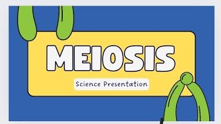 simple and easiest way of meiosisstages crossing over diffbw meiosis1 and 2The Vibes [upl. by Liesa]