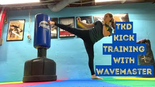 Taekwondo Kick Training with Wavemaster [upl. by Clea]