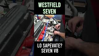 Una Seven V8 PANICO westfield seven racecar exhaust exhaustsound rustom rustomlodi [upl. by Madlin]