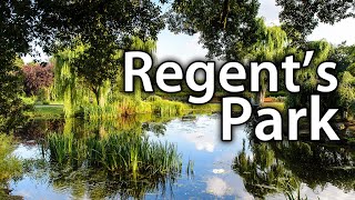 Regents Park  London [upl. by Wickham898]