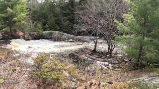 Farm Creek Water Flow Change in 4 Days [upl. by Atsiuqal886]