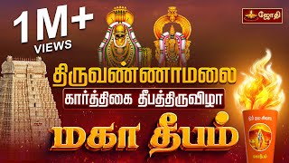 Tiruvannamalai Karthigai Deepam 2024  கார்த்திகை தீபம்  Tiruvannamalai Maha Deepam live [upl. by Arretal]