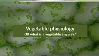 Vegetable Postharvest Physiology [upl. by Erual136]