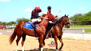 SEMIFINALES FUTURITY MILLONARIO HEAT  2 EL TONY MONTANA  EL ELEGANTE  EL CUATRALVO 300 YDS [upl. by Ariat67]