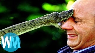 Top 10 des serpents les plus DANGEREUX du monde [upl. by Vilma]