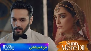 Mere Dil Episode 20 Teaser  5thDec 2024  Har Pal Geo  Sun Mere Dil [upl. by Elodie]