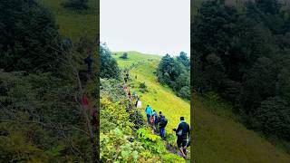 Trekking Nepal Badimalika Trek ® nature travel explore nepal badimalika shorts [upl. by Hsirap]