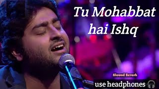 Tu Mohabbat Hai Ishq Hai mera  song slowed  Reverb  arjit singh amp [upl. by Nniw]