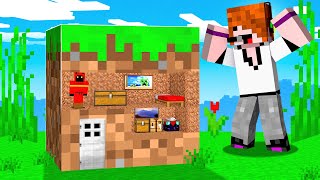 Trolling With World’s SMALLEST Minecraft House [upl. by Nielson]