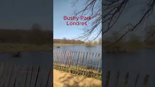 Bushy Park Londres UK brasileirosemlondres [upl. by Morna801]