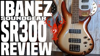 Ibanez Soundgear SR300  Beginners bargain or novices nightmare LowEndLobster Review [upl. by Nnahgiel]