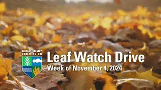 Leaf Watch Drive  Week of November 4 2024 [upl. by Segalman]