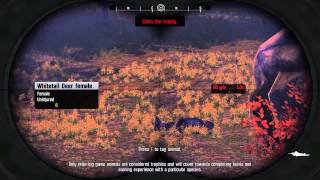 Cabelas Big Game Hunter Pro Hunts  Intro amp Tutorials PC [upl. by Estrella287]