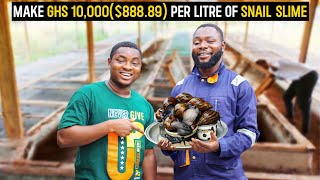 Snail Farming Explained  Why Snail Farming is Profitable Despite Its Longterm Investment snails [upl. by Llewellyn]