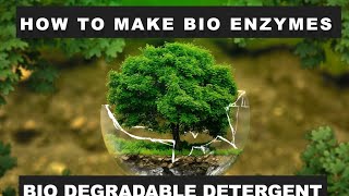 How to make bio enzymes  uses of bio enzymes  pollution ka solution  zero waste India [upl. by Adneral]