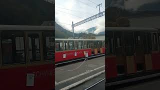 Switzerland diarieswilderswilschynige plattetrain tour [upl. by Airdnna629]