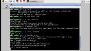 Set JAVAHOME for Raspbian preloaded java 180 [upl. by Yltnerb]