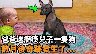 爸爸給癱瘓兒子帶回一隻狗，數月後奇跡發生了，獸醫：這不是狗 [upl. by Sanfourd]