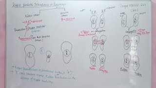 Kappa particle inheritance in paramecium csirnetjrf mducee2023 mducee maternal inheritance Lec19 [upl. by Sandy]