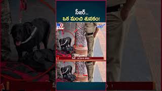 iSmart News  సీజర్ ఒక మంచి శునకం  Police Dog  TV9 [upl. by Hardner]